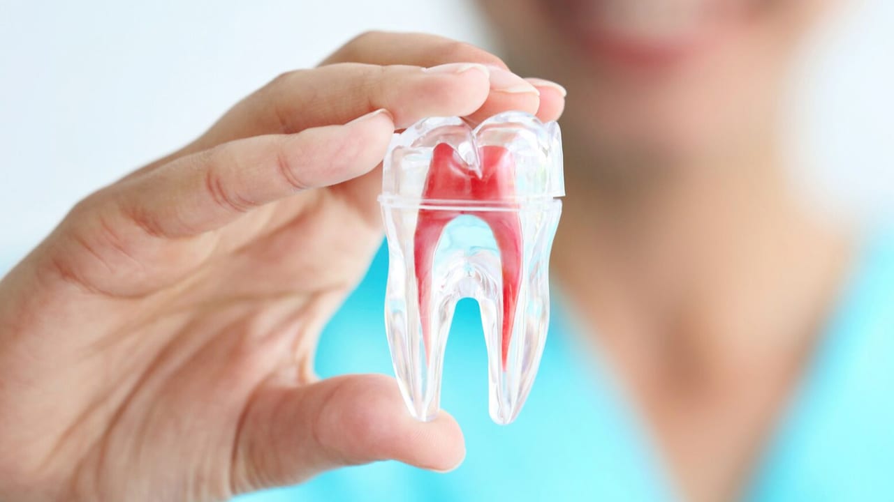 Root Canal vs. Tooth Extraction: Which Option Is Right for You?